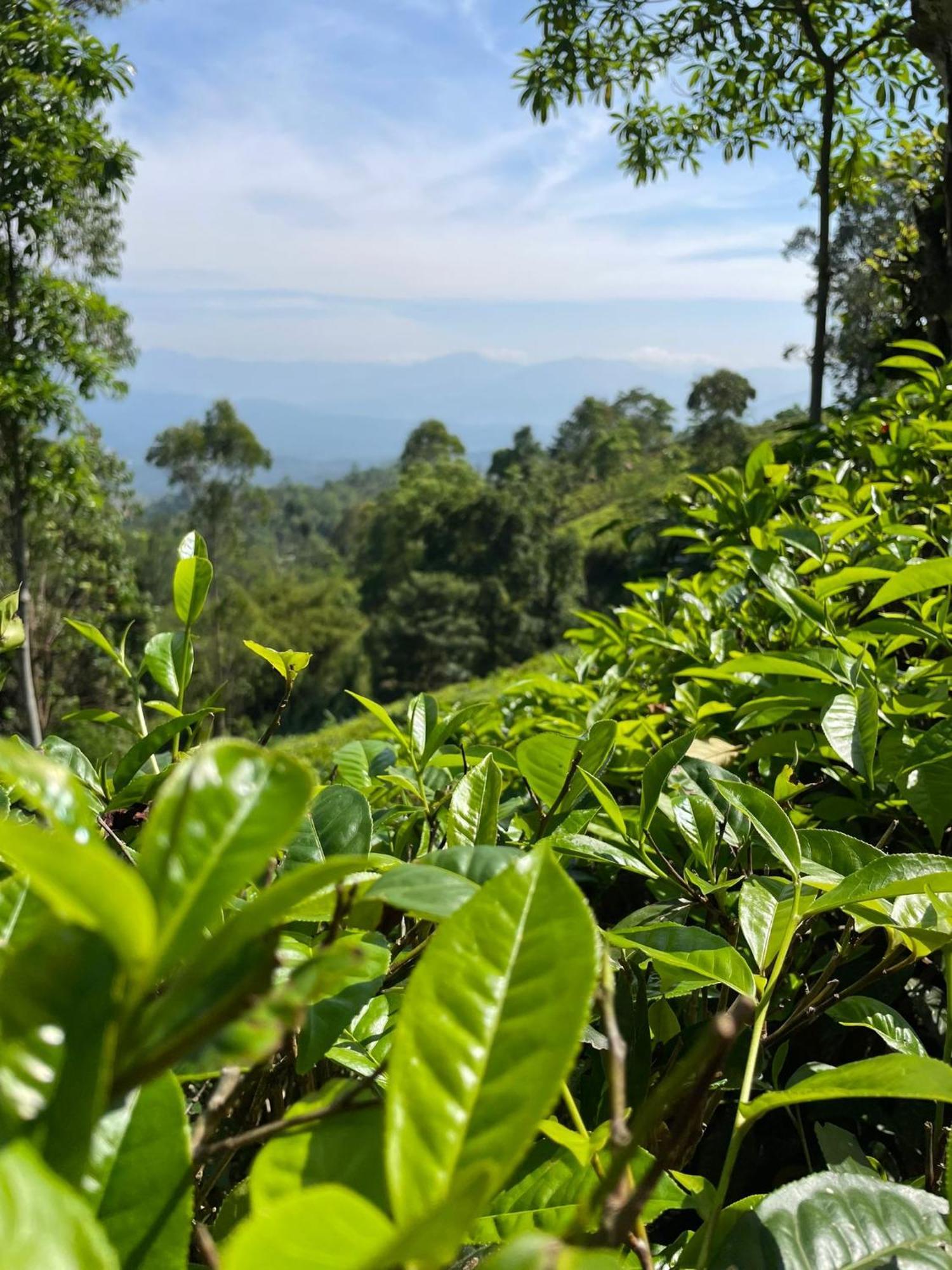 Bellwood Hills Resort & Spa Kandy Esterno foto