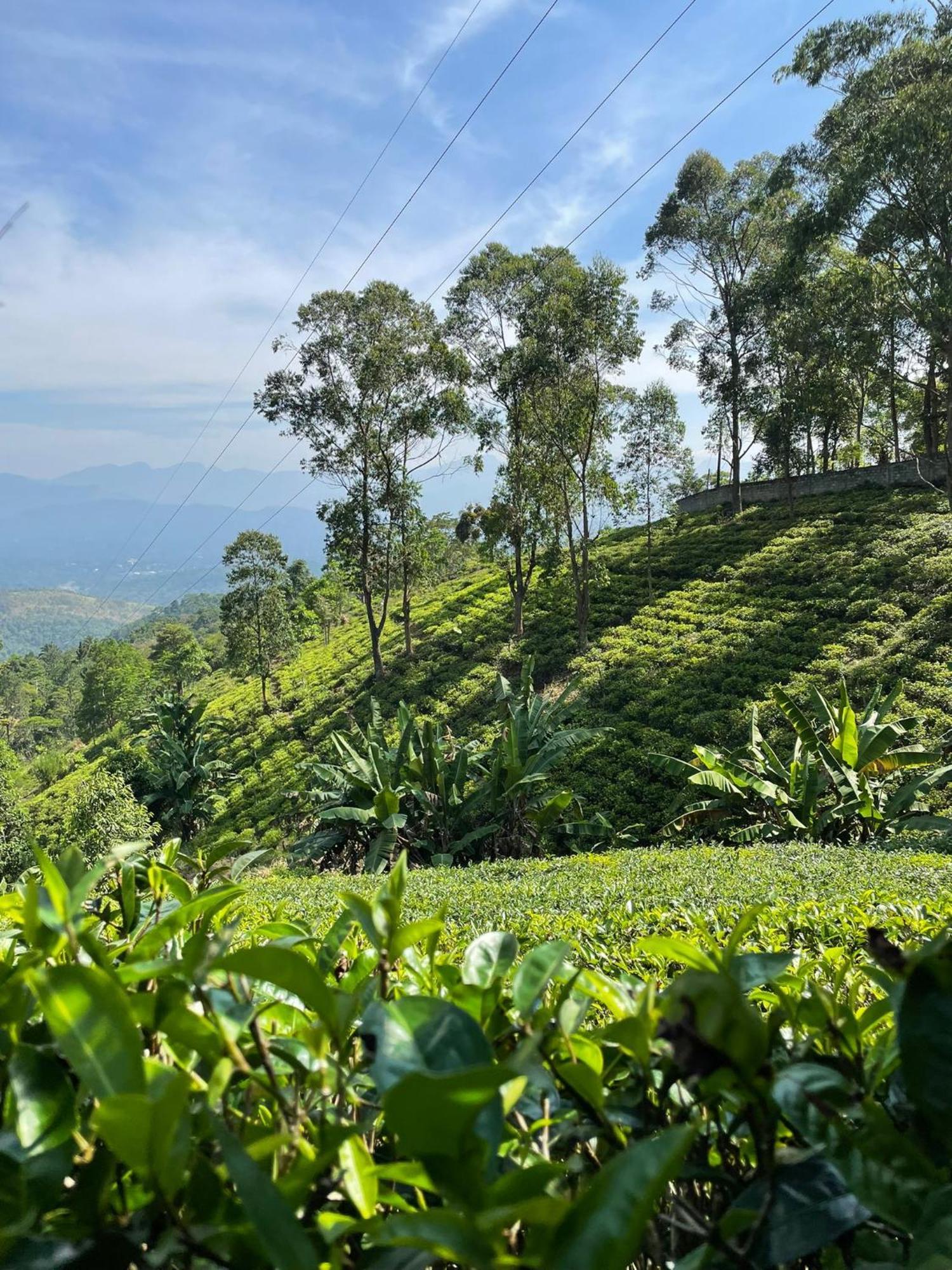 Bellwood Hills Resort & Spa Kandy Esterno foto
