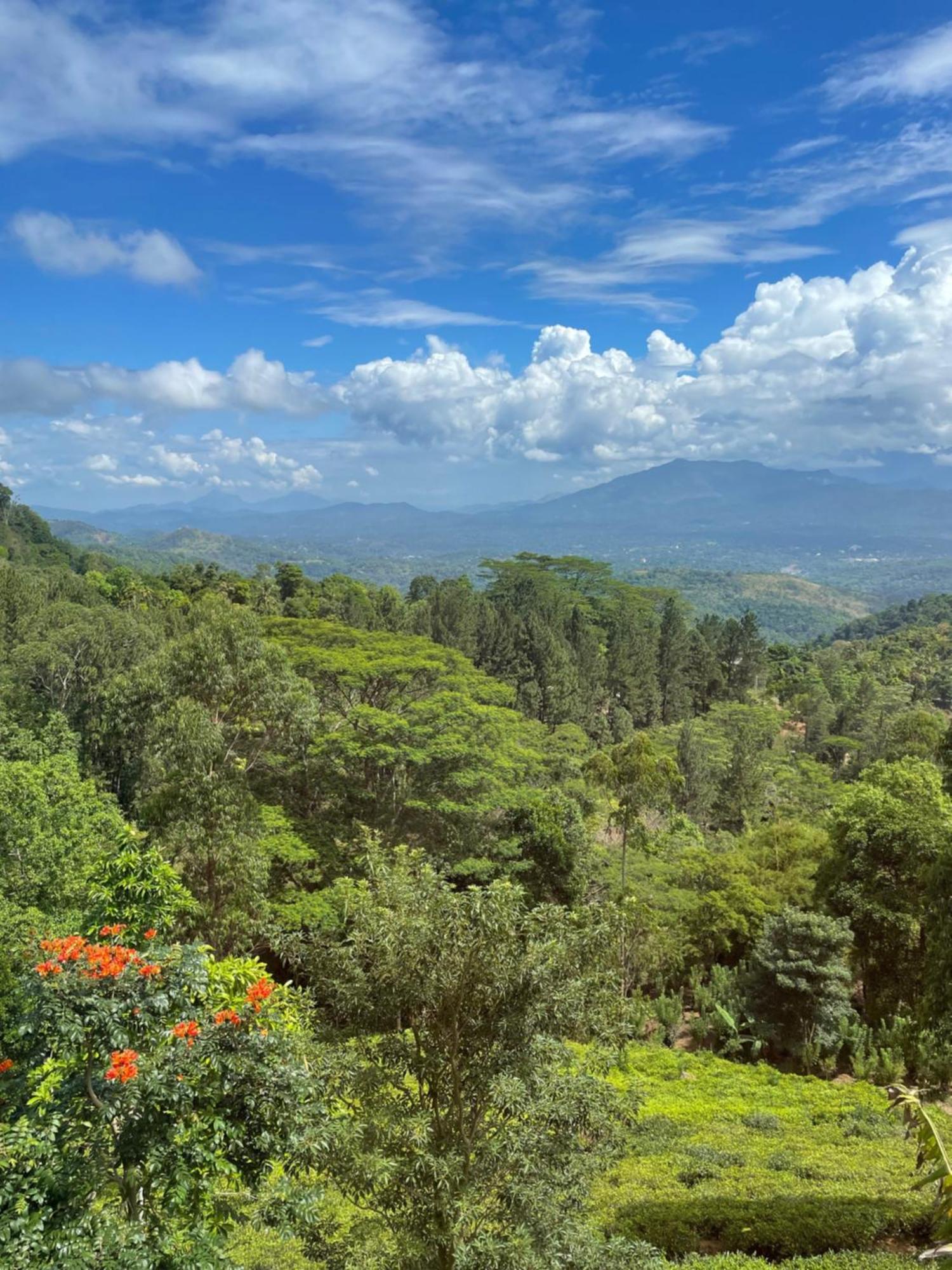 Bellwood Hills Resort & Spa Kandy Esterno foto