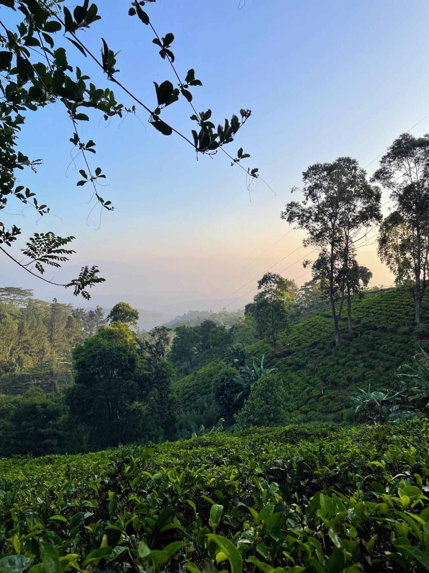 Bellwood Hills Resort & Spa Kandy Esterno foto
