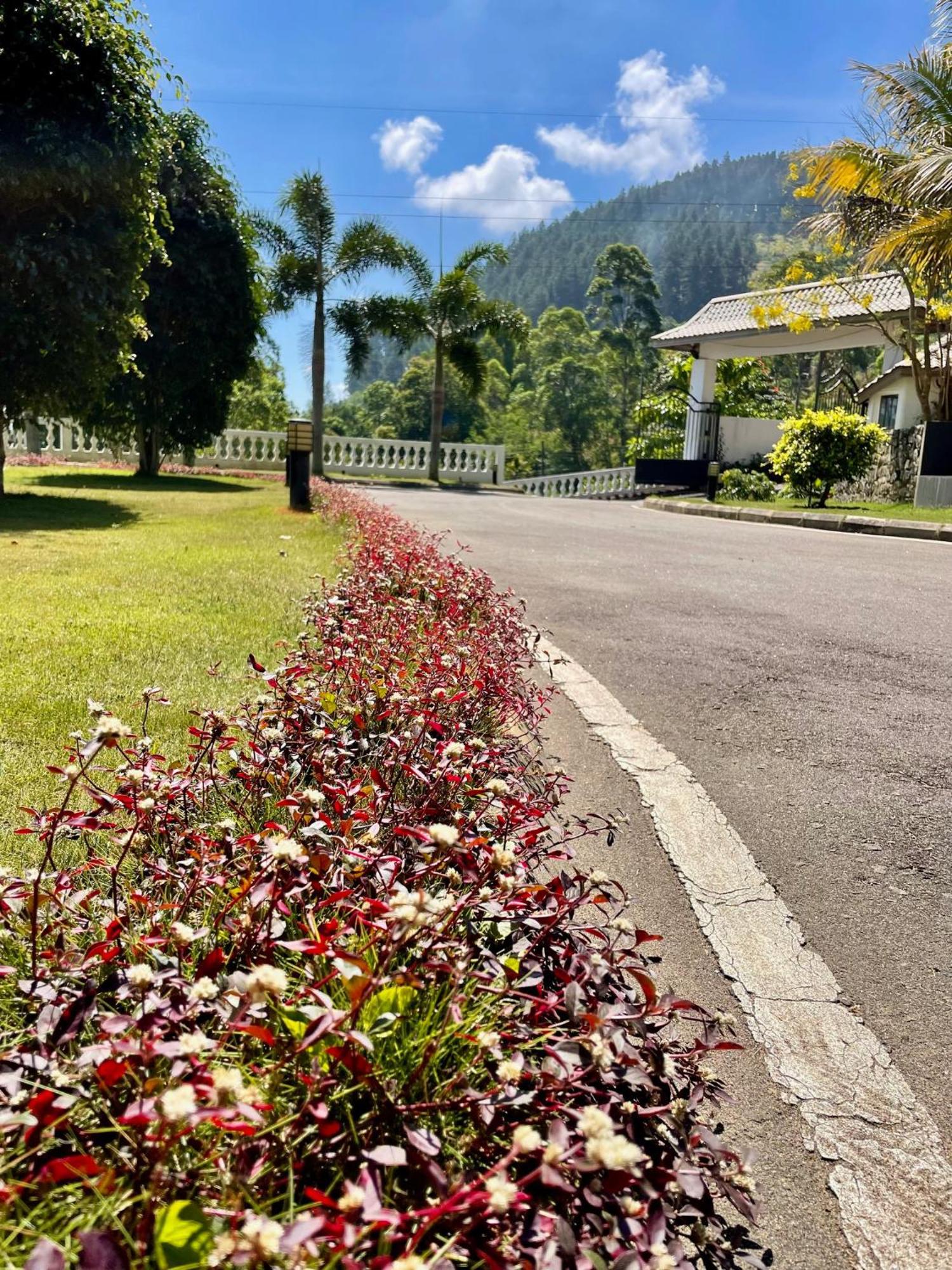 Bellwood Hills Resort & Spa Kandy Esterno foto