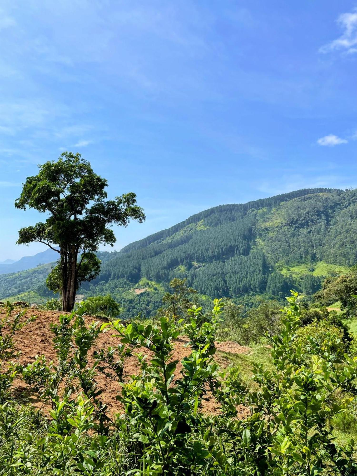 Bellwood Hills Resort & Spa Kandy Esterno foto
