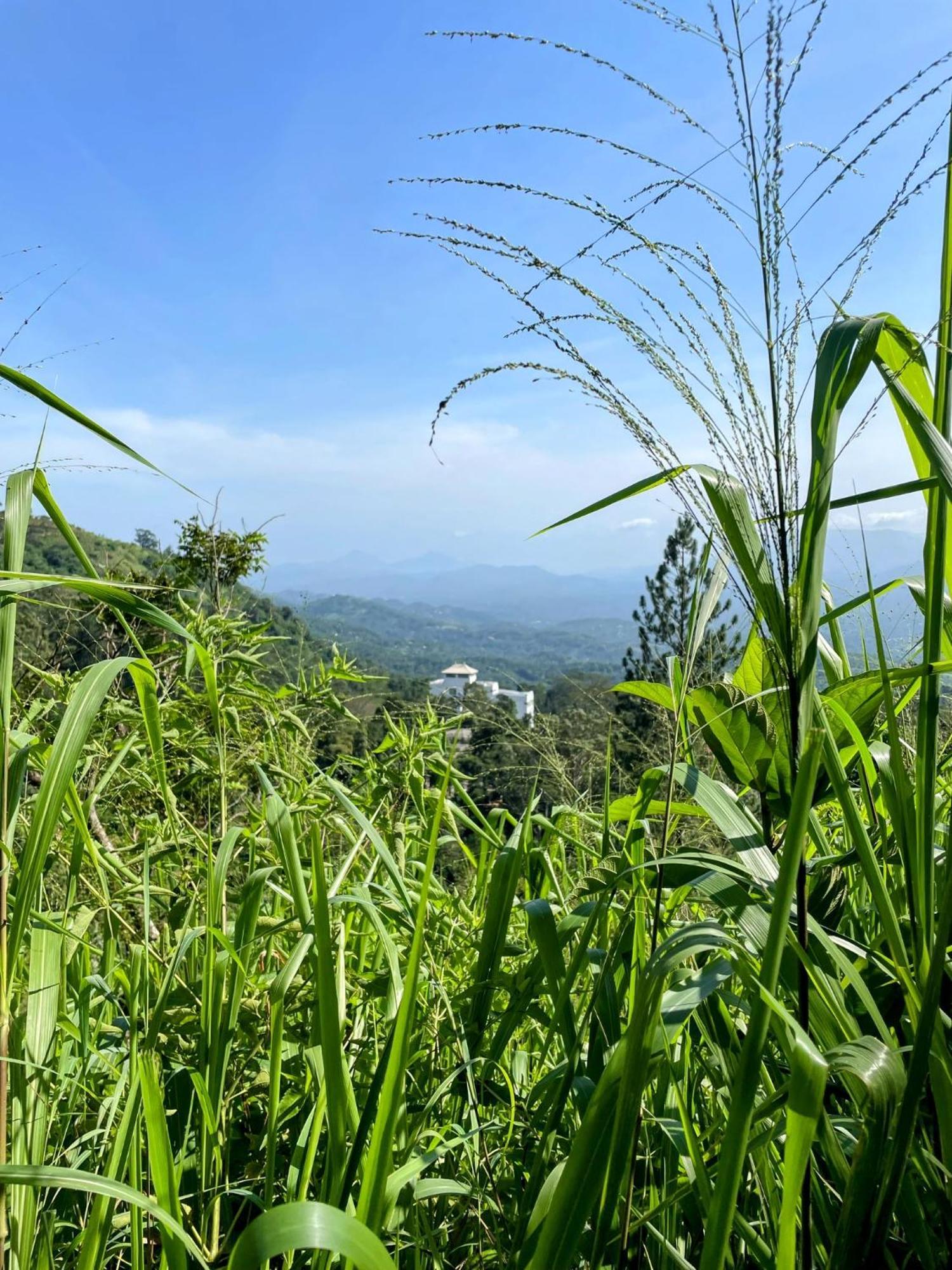 Bellwood Hills Resort & Spa Kandy Esterno foto